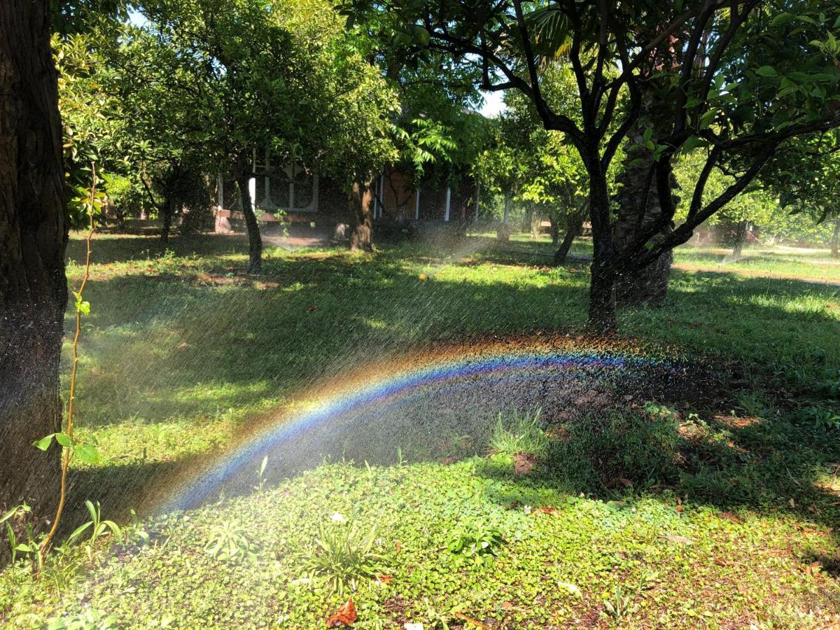 Cirali Armira Bungalow ภายนอก รูปภาพ