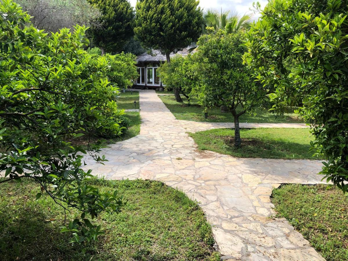Cirali Armira Bungalow ภายนอก รูปภาพ