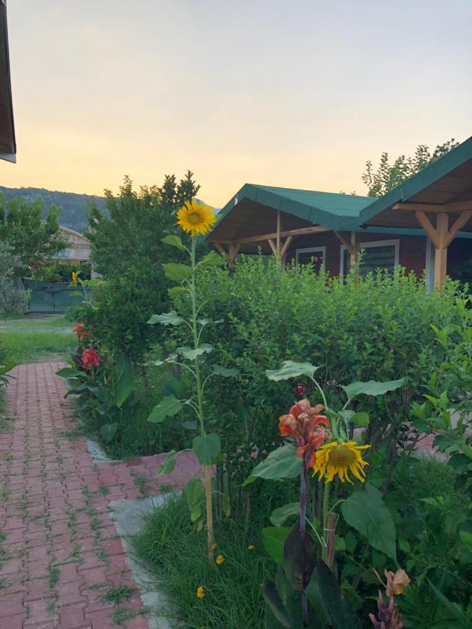 Cirali Armira Bungalow ภายนอก รูปภาพ