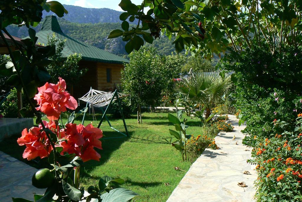Cirali Armira Bungalow ภายนอก รูปภาพ