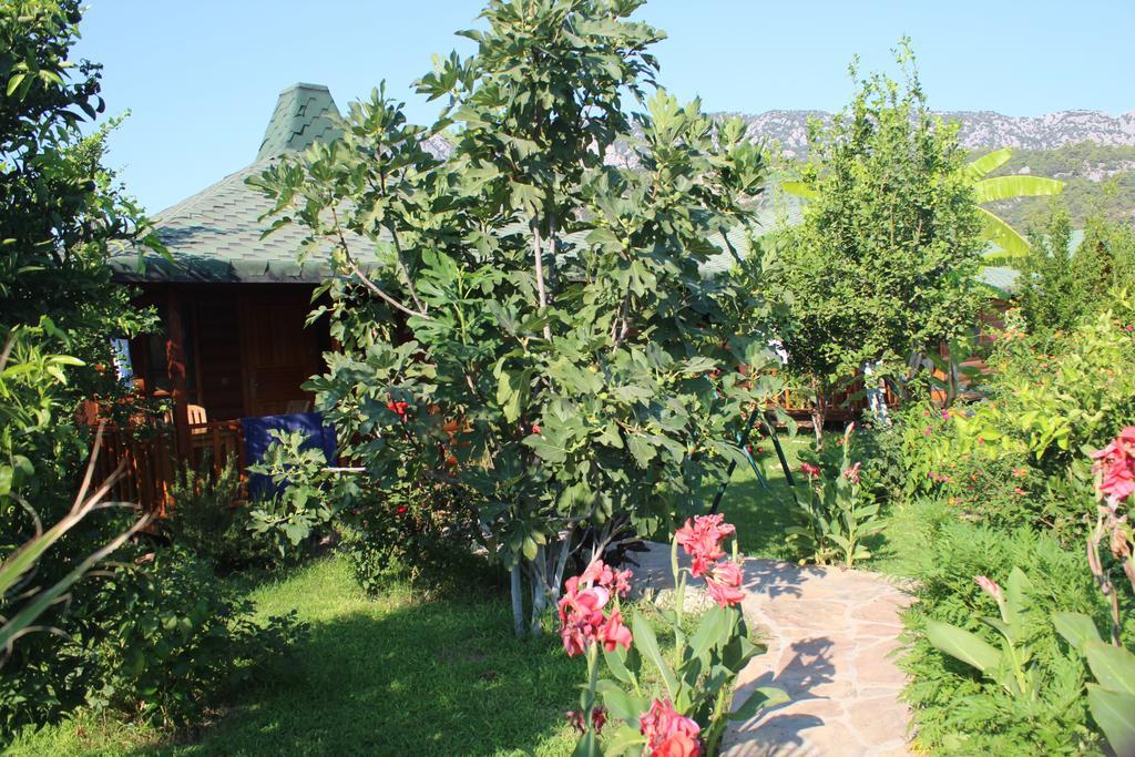 Cirali Armira Bungalow ห้อง รูปภาพ