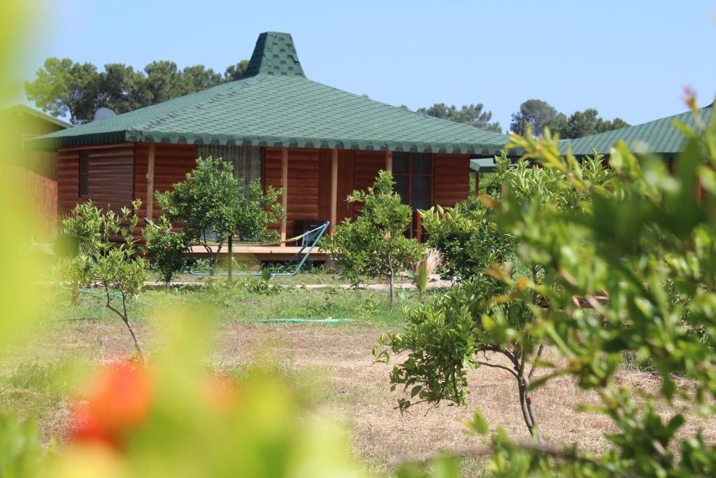Cirali Armira Bungalow ห้อง รูปภาพ