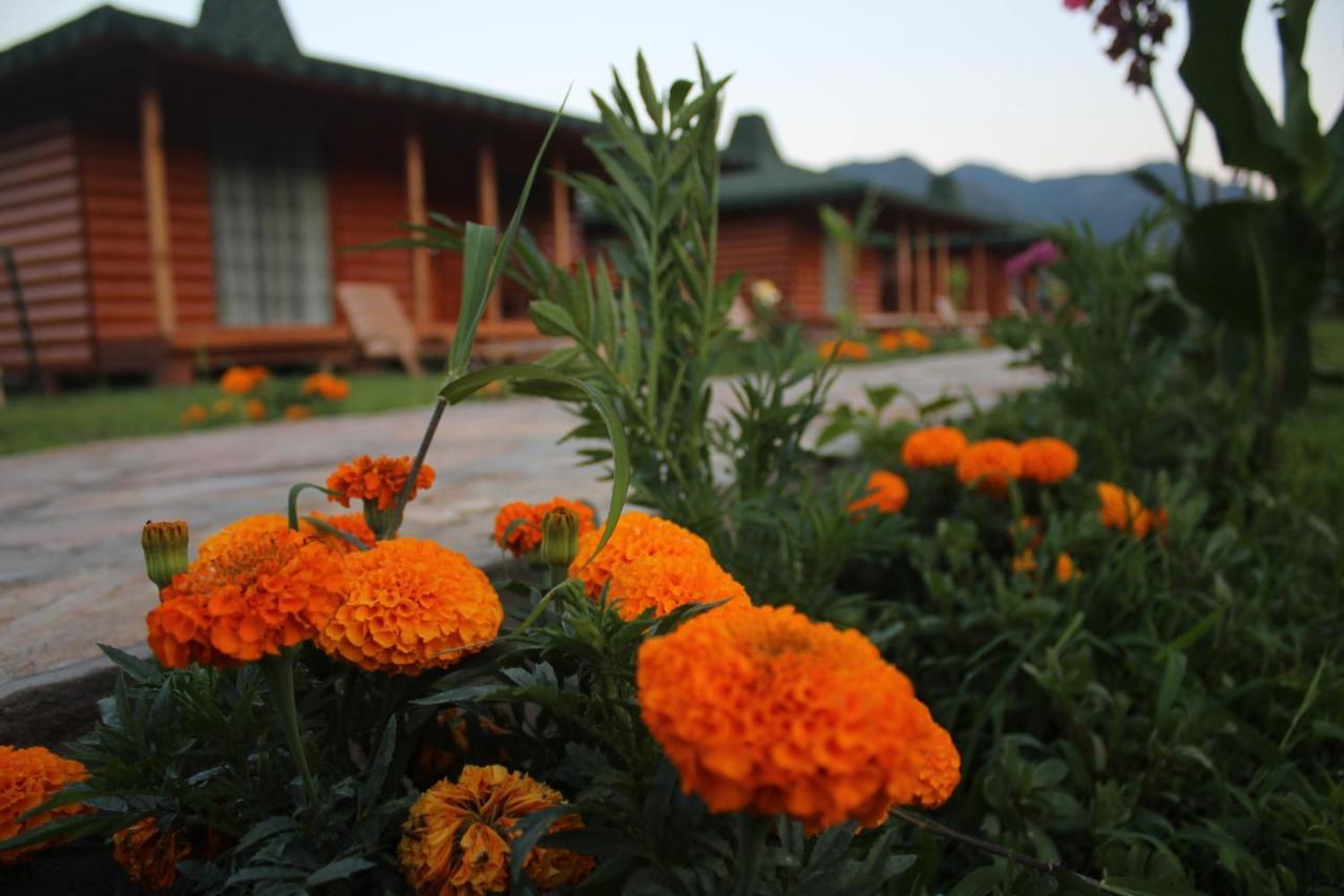 Cirali Armira Bungalow ห้อง รูปภาพ