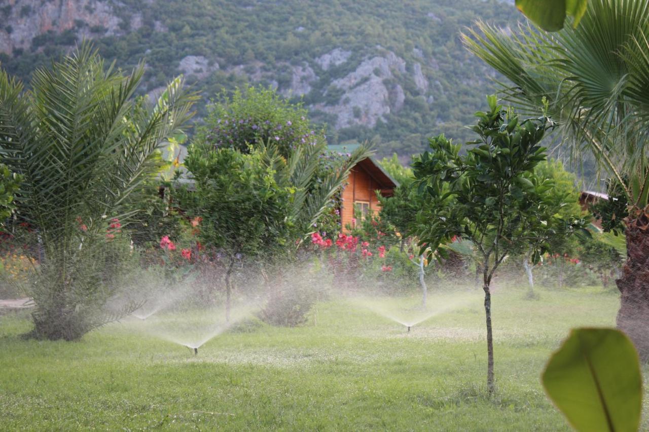 Cirali Armira Bungalow ภายนอก รูปภาพ