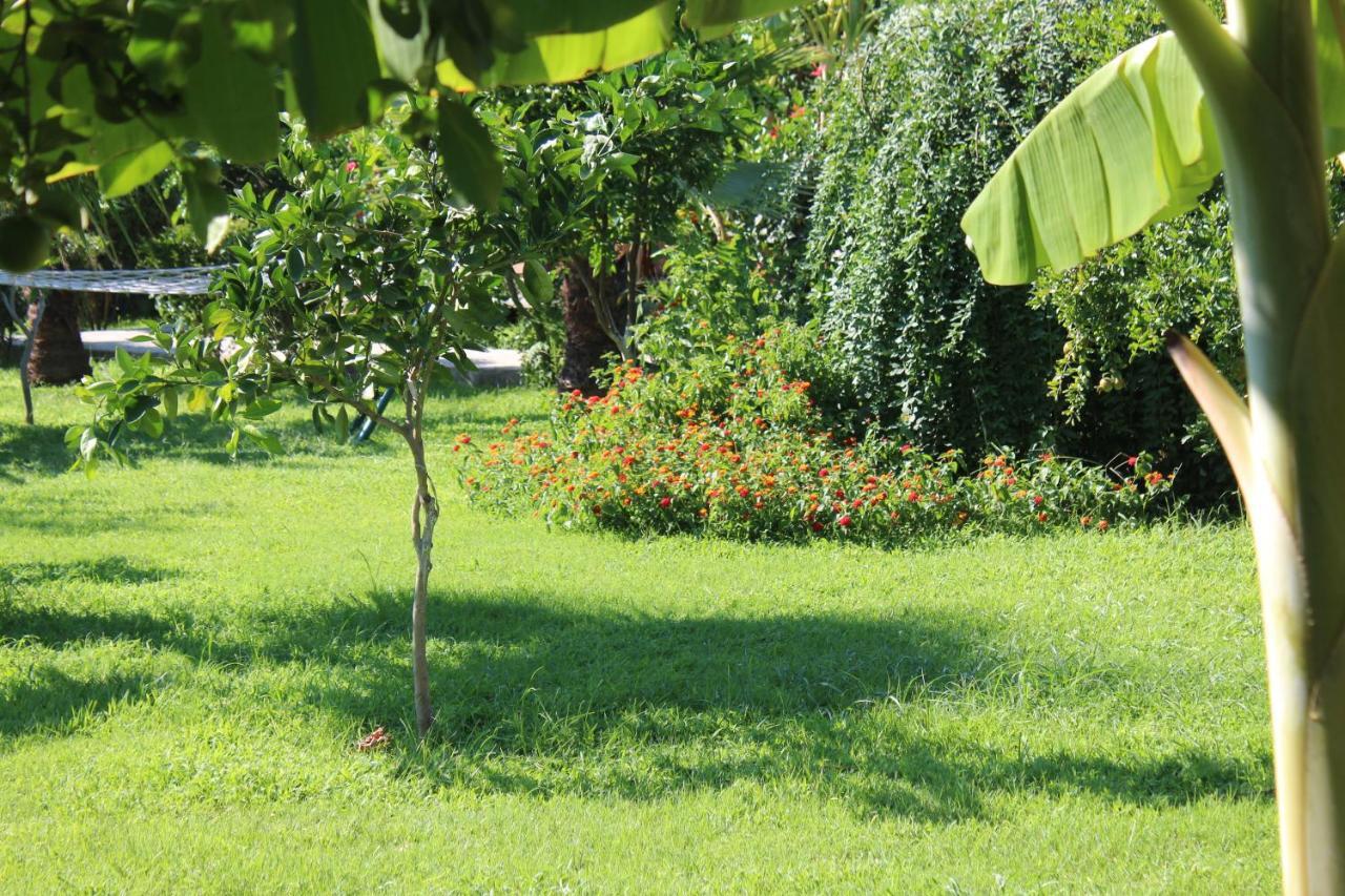 Cirali Armira Bungalow ภายนอก รูปภาพ